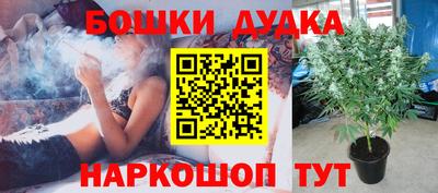 прущие грибы Донецк