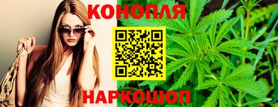 гашик Дубна