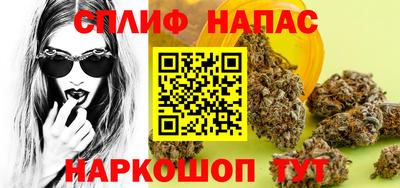 гашик Дубна
