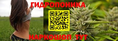 2c-b Донской