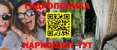 прущие грибы Донецк
